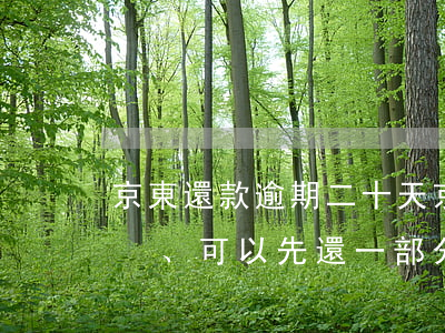 京東還款逾期二十天(京東逾期10天了、可以先還一部分的款嗎)